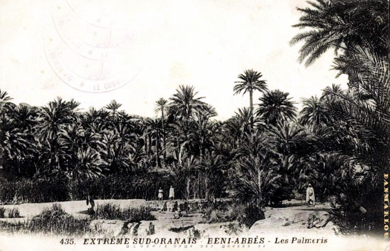 Beni-Abbes - Palmeraie.jpg